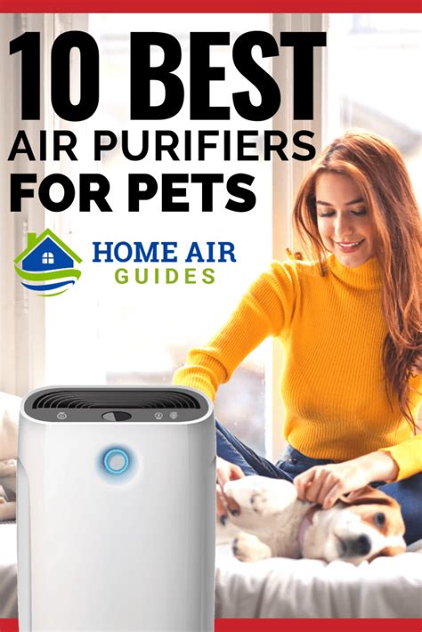 How Magic Air Purifiers Can Remove Harmful Pollutants from Your Home